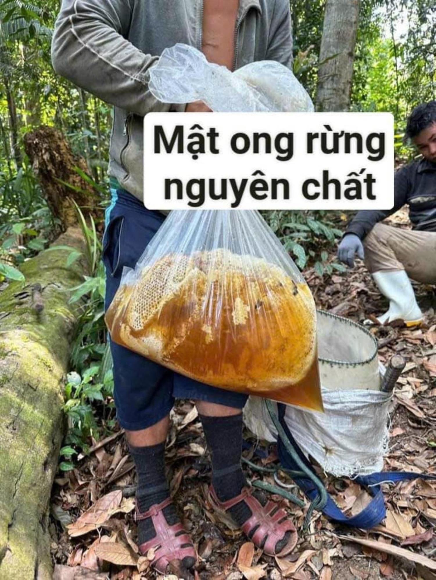 Homestay Ho Son - Thac Anor A Luoi Exteriér fotografie