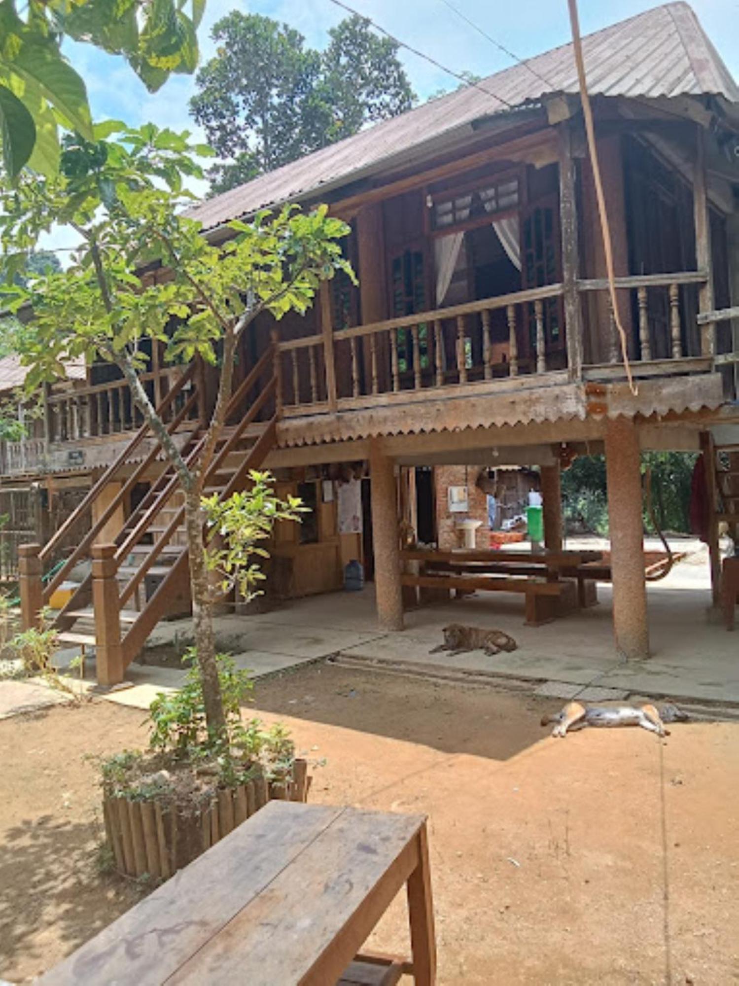 Homestay Ho Son - Thac Anor A Luoi Exteriér fotografie
