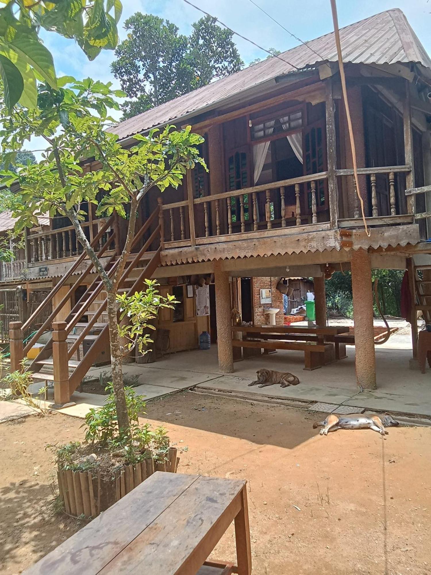 Homestay Ho Son - Thac Anor A Luoi Exteriér fotografie